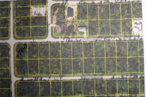 Land in Port Charlotte, Florida № 2160389 - photo 4