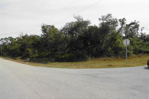 Land in Port Charlotte, Florida № 2160389 - photo 2