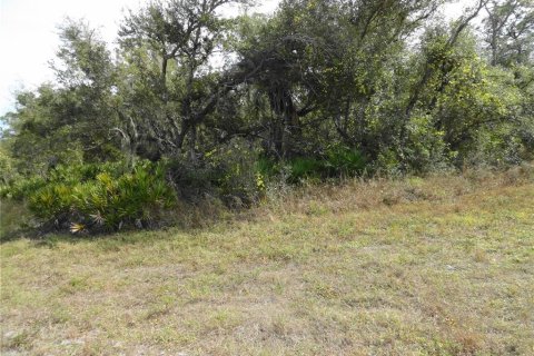 Land in Port Charlotte, Florida № 2160389