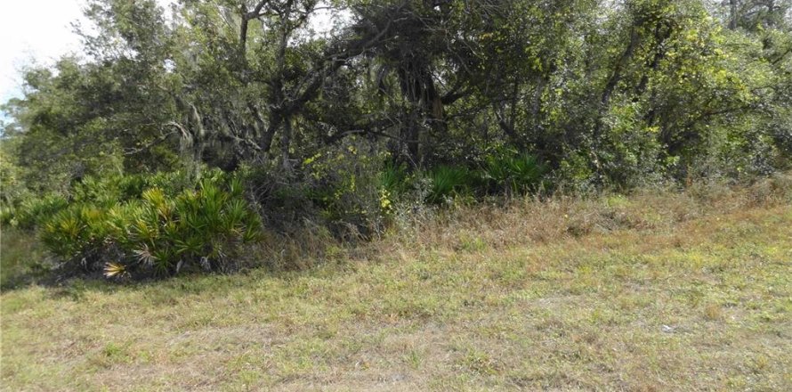 Land in Port Charlotte, Florida № 2160389