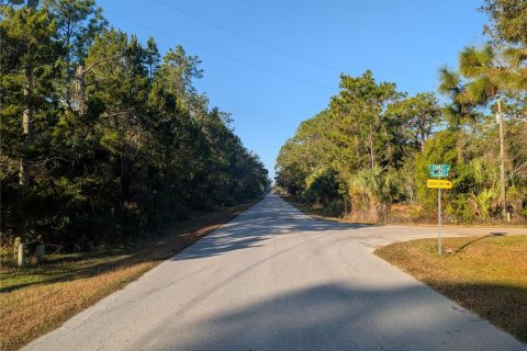 Land in Homosassa, Florida № 2163635 - photo 3