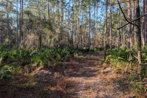 Land in Homosassa, Florida № 2163635 - photo 6
