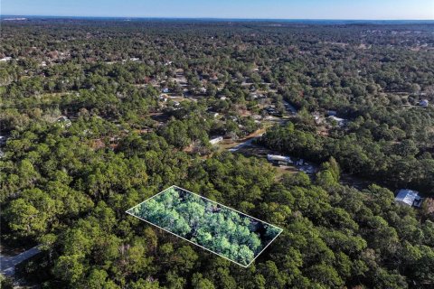 Land in Homosassa, Florida № 2163635 - photo 7