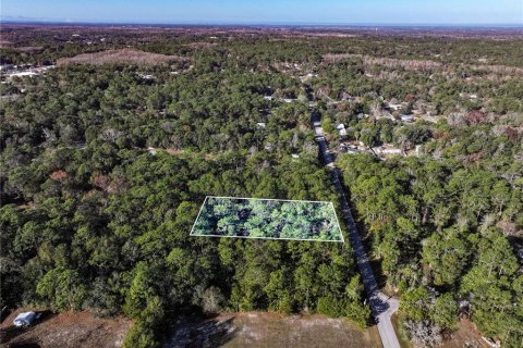 Land in Homosassa, Florida № 2163635 - photo 9