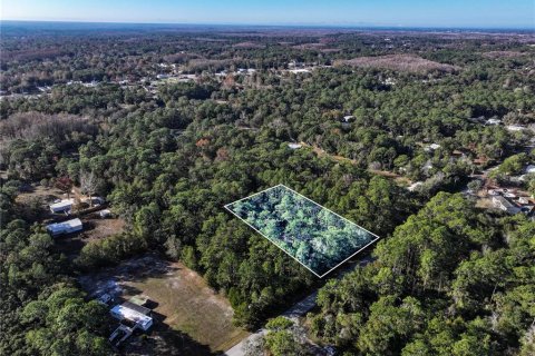 Land in Homosassa, Florida № 2163635 - photo 10