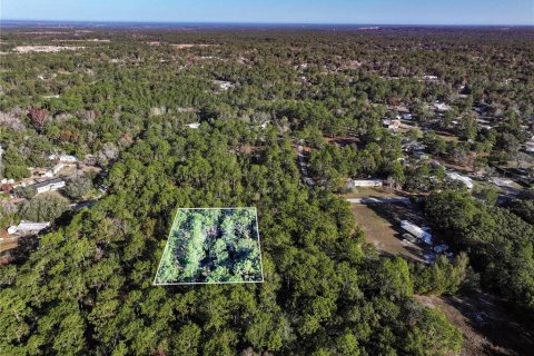Land in Homosassa, Florida № 2163635 - photo 8