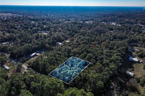 Land in Homosassa, Florida № 2163635