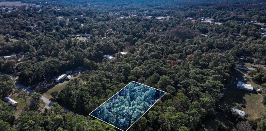 Land in Homosassa, Florida № 2163635