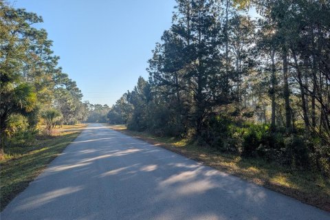 Land in Homosassa, Florida № 2163635 - photo 5