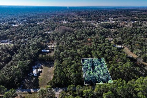 Land in Homosassa, Florida № 2163635 - photo 2