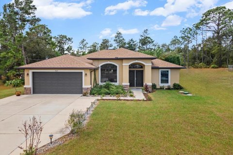 Villa ou maison à Weeki Wachee, Floride 3 chambres, 177.26 m2 № 2148904
