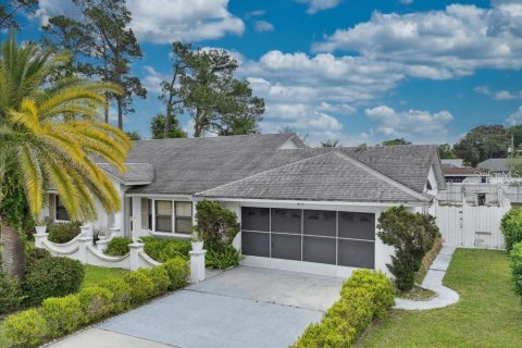 House in Palm Coast, Florida 3 bedrooms, 164.72 sq.m. № 2123810