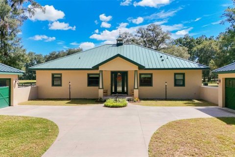 Villa ou maison à vendre à Ocala, Floride: 3 chambres, 222.87 m2 № 2403219 - photo 9