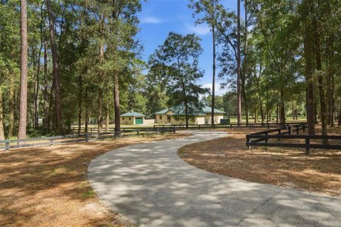 Villa ou maison à vendre à Ocala, Floride: 3 chambres, 222.87 m2 № 2403219 - photo 2