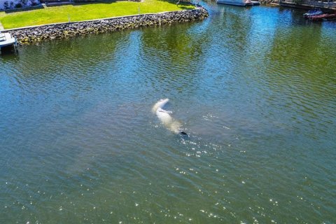 Villa ou maison à vendre à Crystal River, Floride: 3 chambres, 113.71 m2 № 1767927 - photo 5