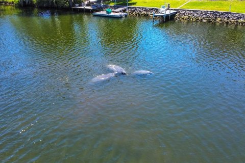 Villa ou maison à vendre à Crystal River, Floride: 3 chambres, 113.71 m2 № 1767927 - photo 4