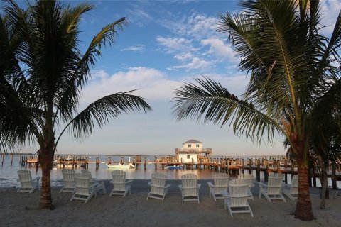 Land in Captiva, Florida № 2225227 - photo 25
