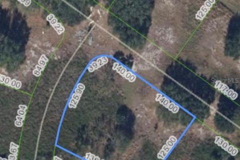Land in Sebring, Florida № 2162986