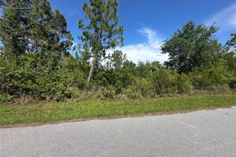 Land in Port Charlotte, Florida № 2211781