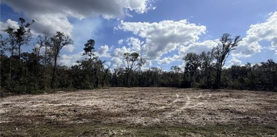 Terrain à Old Town, Floride № 2096980