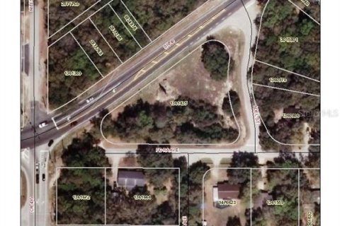 Land in Mount Plymouth, Florida № 1424910 - photo 1