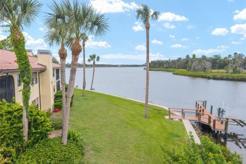Condo in Crystal River, Florida, 2 bedrooms  № 1903501 - photo 3