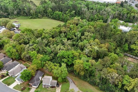 Land in Tallahassee, Florida № 1614716 - photo 3