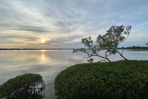 Condominio en alquiler en Sarasota, Florida, 1 dormitorio, 77.02 m2 № 1124201 - foto 23