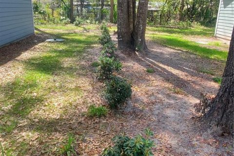 House in High Springs, Florida 3 bedrooms, 131.83 sq.m. № 2206723 - photo 6