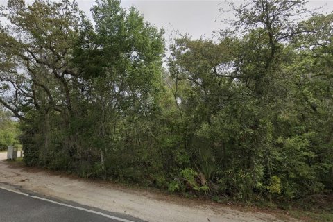 Land in Fort MC Coy, Florida № 2159369
