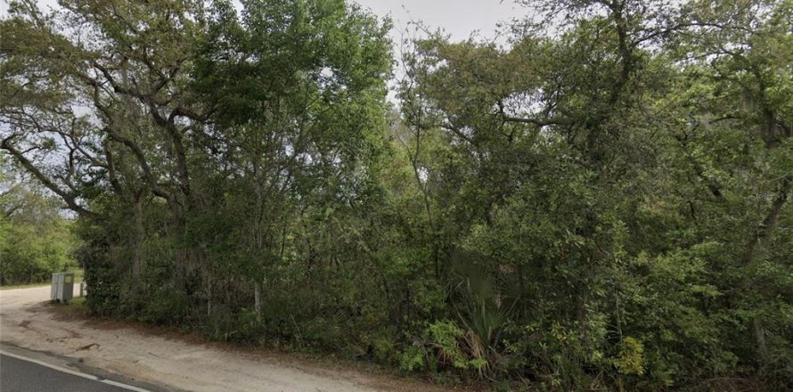Land in Fort MC Coy, Florida № 2159369