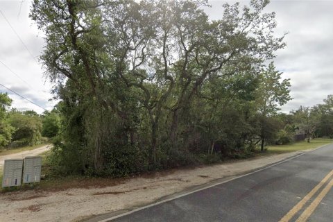 Land in Fort MC Coy, Florida № 2159369 - photo 3