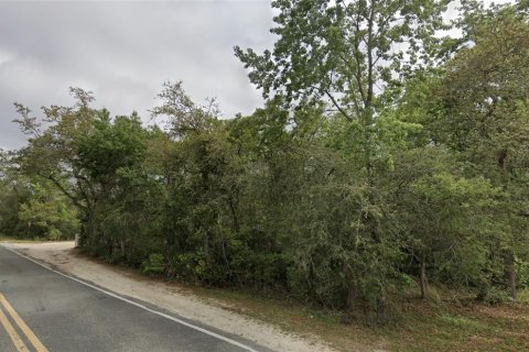 Land in Fort MC Coy, Florida № 2159369 - photo 4
