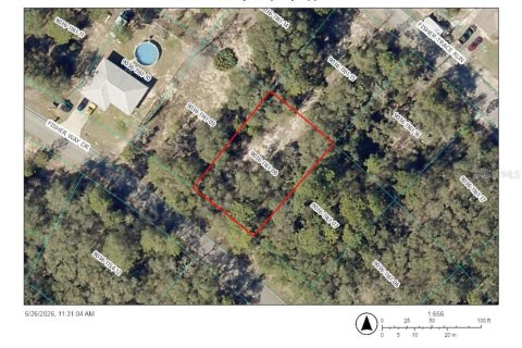 Land in Ocklawaha, Florida № 2211474