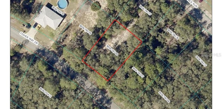 Land in Ocklawaha, Florida № 2211474