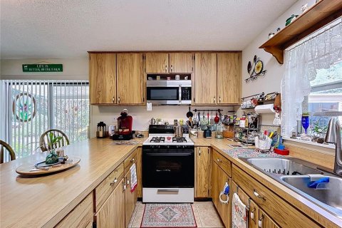 House in Fish Hawk, Florida 2 bedrooms, 198.53 sq.m. № 1736461 - photo 30