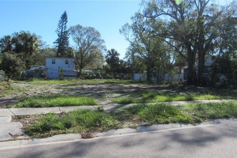 Land in Saint Petersburg, Florida № 1723761 - photo 1