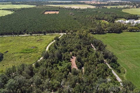 Terrain à vendre à Bell, Floride № 2398876 - photo 21