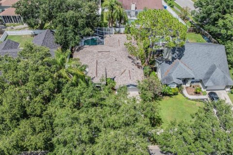 Casa en venta en Tampa, Florida, 4 dormitorios, 224.64 m2 № 1819189 - foto 14