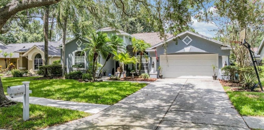 Villa ou maison à Tampa, Floride 4 chambres, 224.64 m2 № 1819189