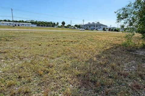 Propiedad comercial en venta en Cape Coral, Florida № 2001982 - foto 4