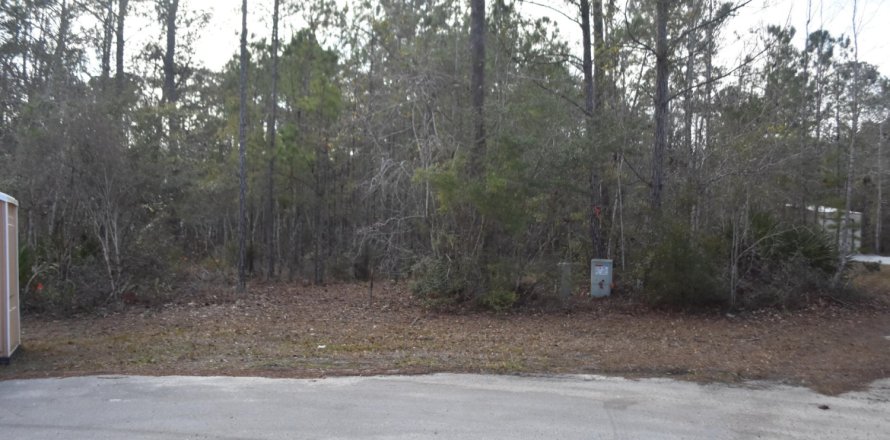 Terreno en Freeport, Florida № 590218