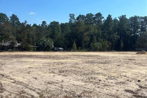 Land in Dunnellon, Florida № 1555595 - photo 3