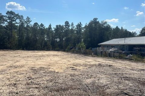 Land in Dunnellon, Florida № 1555595 - photo 1