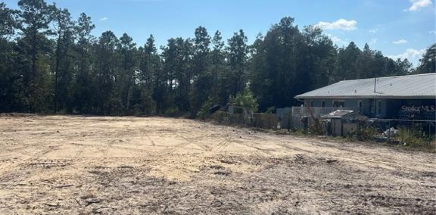 Land in Dunnellon, Florida № 1555595