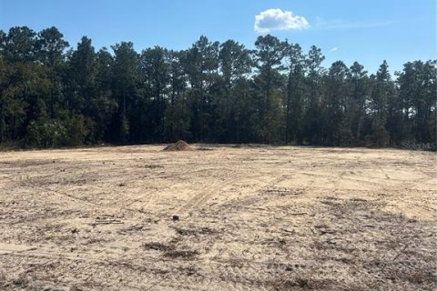 Land in Dunnellon, Florida № 1555595 - photo 2