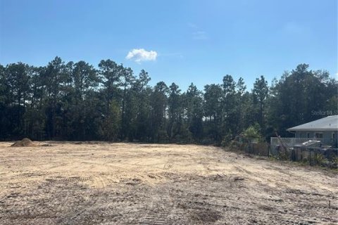 Land in Dunnellon, Florida № 1555595 - photo 4