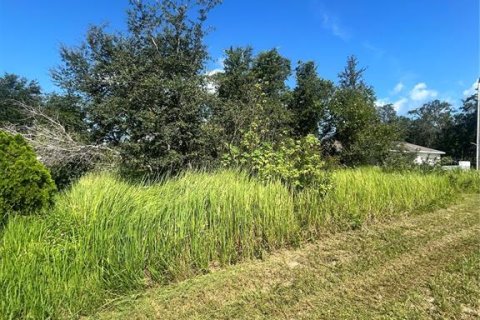 Terrain à vendre à Kissimmee, Floride № 1885785 - photo 6