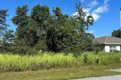 Terrain à vendre à Kissimmee, Floride № 1885785 - photo 3