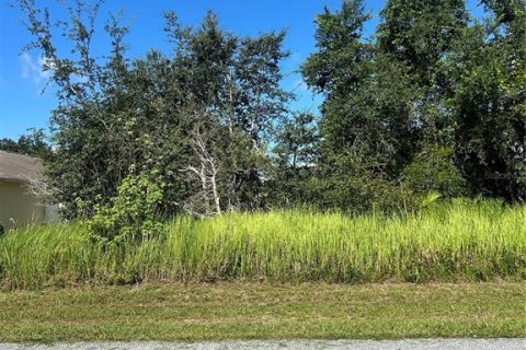 Terrain à vendre à Kissimmee, Floride № 1885785 - photo 4